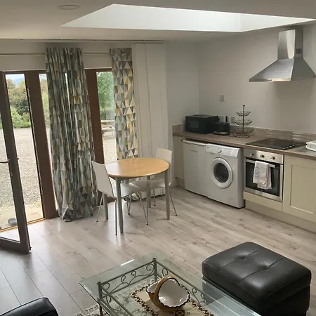 Unyi Ojo Johnstown (Wicklow)