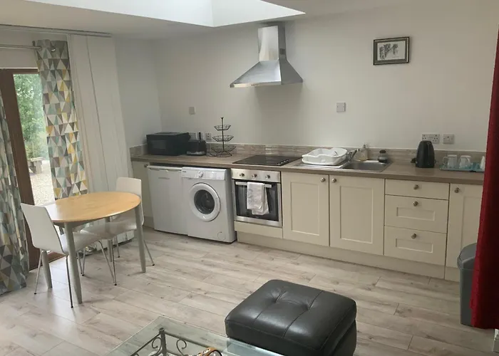 Unyi Ojo Johnstown (Wicklow)