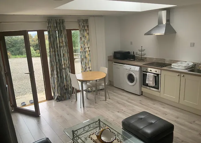 Unyi Ojo Johnstown (Wicklow)